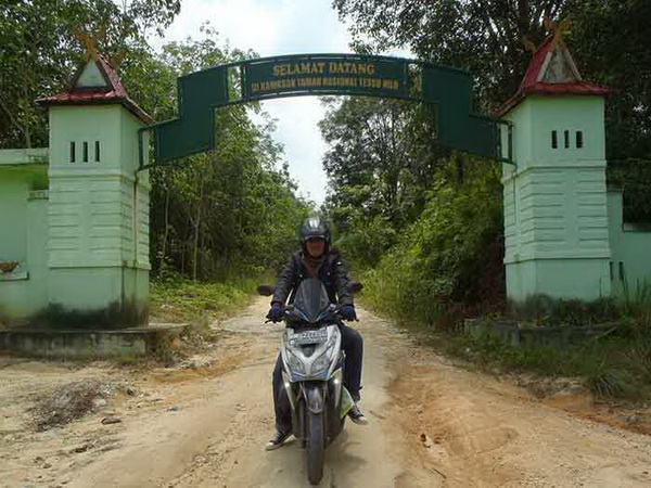 Relokasi Untuk Restorasi TNTN